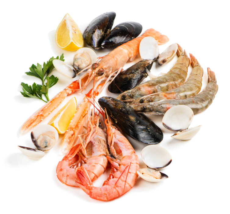 Wm Shellfish Shellfish - Williams and Bunkell Fishmongers
